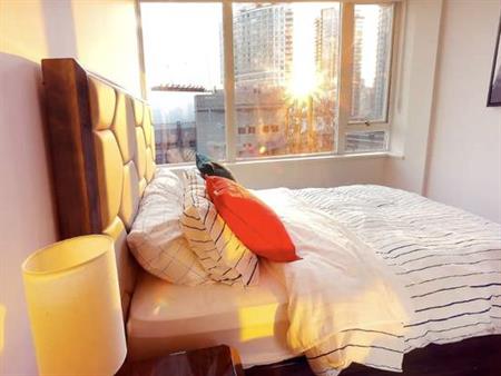 Furnished, bright 1-bdrm condo DT