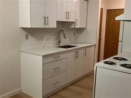 RENOVATED Two bedroom units in a PET FRIENDLY BUILDING