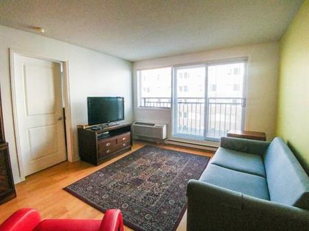 1 Bed 1 Bath Suite in Griffintown