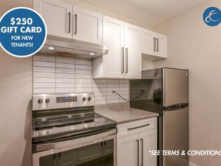 $250 Gift Card for New Tenants! Renovated 1-Bedroom