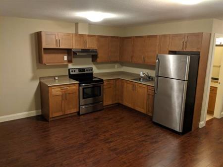 Clean and cute basement suite