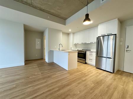 Villeray - Superbe Condo 4 1/2 Neuf