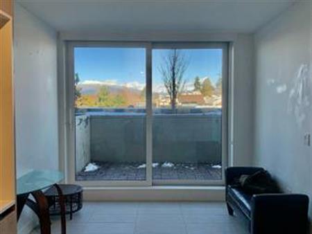 $2,600 / 1br - 530ft2 - 220ft2 Patio-Newly, Modern, Furnished Apartment (Vancouv