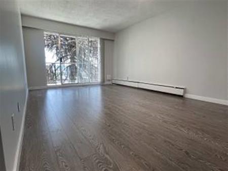 New Westminster 1 BEDROOM - TOP floor, RENOVATED- move in January