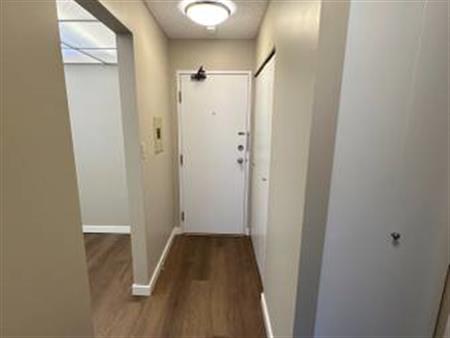 Very Spacious 1Bedroom Right by New West Skytrain