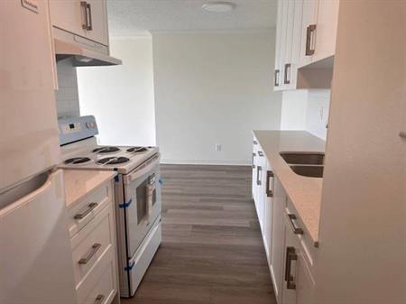 2-Bedroom Fully Renovated close to SkyTrain (Lougheed)