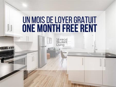 1 Bedroom - 1190 Rue Du Fort, Ville-Marie