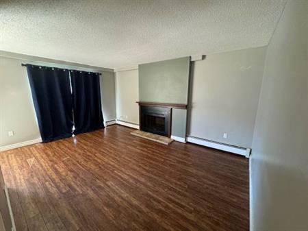 Large 2 Bedroom Apartment For Rent