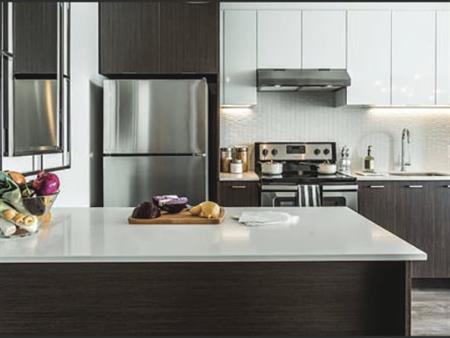 Condo Locatif Laval Dispo 1er Janvier