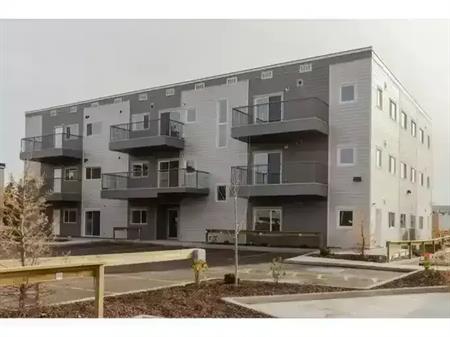 1 Bedroom with In-suite laundry AND Dishwasher | 16315 96A Avenue Northwest, Edmonton