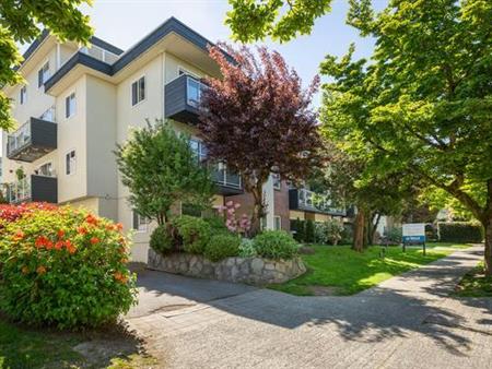 1br - 613 sf KITSILANO - 1 BR + 1 BATH pet friendly