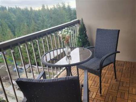 Bright & spacious Furnished apartment in Woodcraft (North Vancouver)