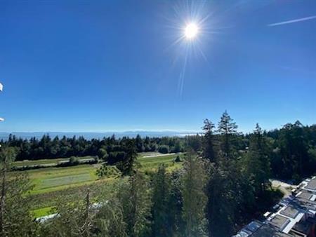 UBC brand new big two bed room ocean view apartment