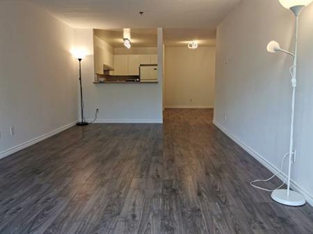 Unfurnished two-bedroom two-bathroom condo for rent