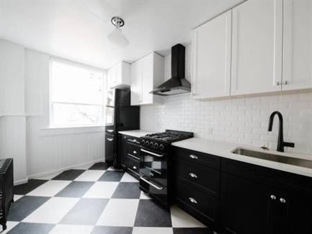 Newly Renovated 1-Bed (Utilities Included) - Cook Street