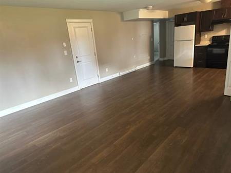 Large 1 bdrm suite near Costco available now