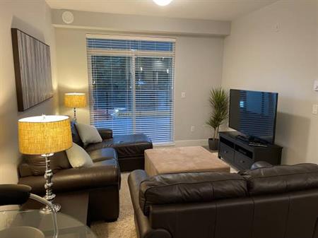 Beautiful, new & furnished 1bdrm + den condo