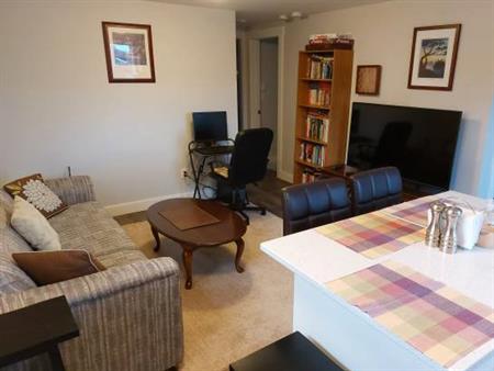 Two bedrooms suite fully furnished