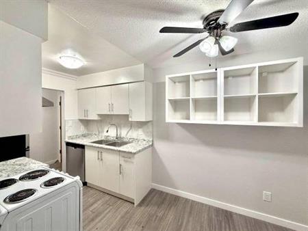 Spacious and Renovated 1-Bedroom Apartment MOVE IN READY