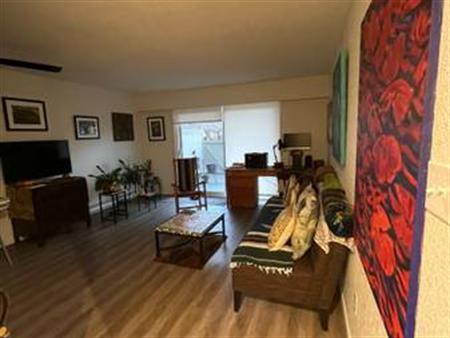 Large, renovated 1 bdrm. with huge private outdoor patio