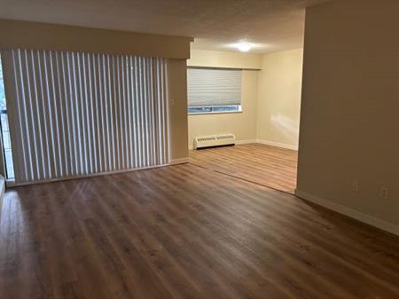 X-Large 2 bdrm suite for rent