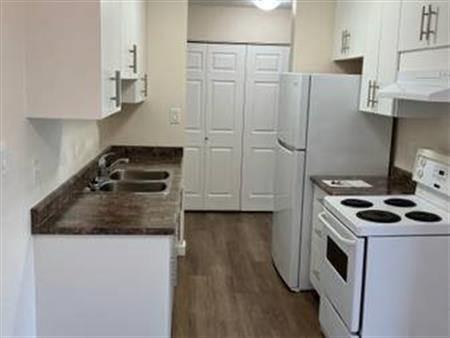 Renovated 2 bedroom small pet friendly suite