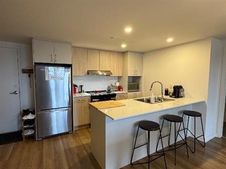 Condo locatif 4 1/2 Liveo Mascouche