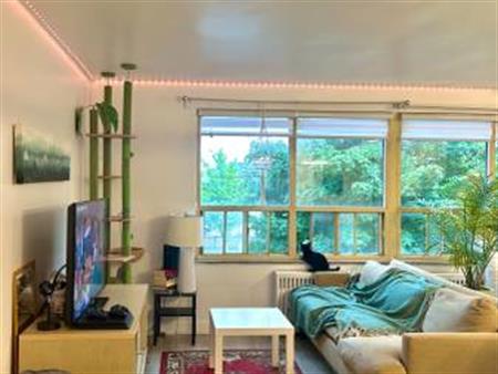 Beautiful, Bright 1 Bedroom Apartment Unit for Rent