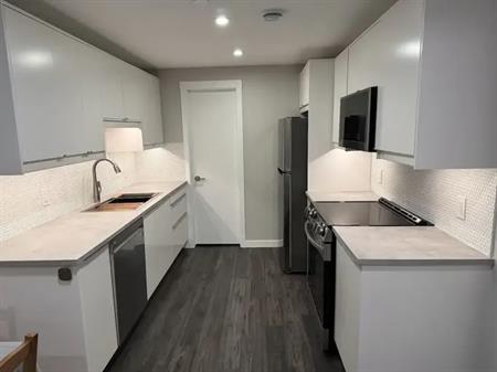 New Build Legal Basement with 1 Bedroom in Livingston | 148 Calhoun Common Northeast, Calgary