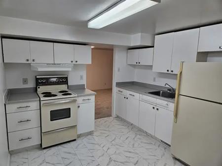 1 Bedroom Basement in Parkdale. Pets ok. Util/WiFi Incl. Unfurn, Singles Only. | Calgary