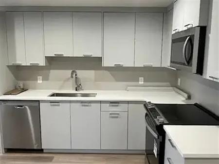 New 1 bedroom Basement Suite, Separate Entrance - $1,200 | Calgary