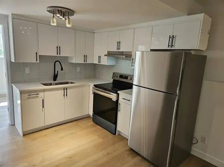 FULLY RENOVATED BASEMENT 2 BEDROOMS AND FULL BATH, SEPERATE ENTRY, LAUNDRY | 25 Martinvalley Road Northeast, Calgary