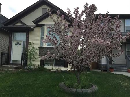 Cozy 4 - bedroom 2 full bath single detached house in Silverado | 175 Silverado Drive Southwest, Calgary