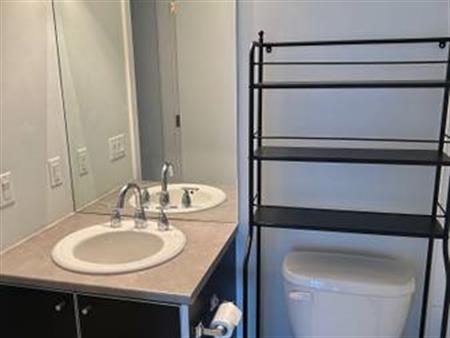 one bedroom apartment for rent near King George Skytrain Station