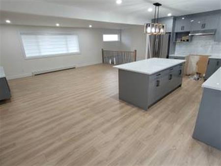 Brand New Reno 3 Bed/2 Bath, Beautiful Open Concept!