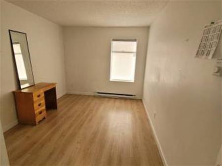 Renovated 1 Bed 1 Bath Pet Friendly