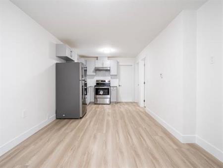 1 Bed 1 Bath New House Basement