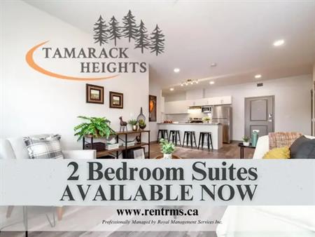 Tamarack Heights Apartments | 730 Tamarack Way, Edmonton