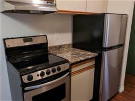 RENOVATED 1 Bedroom Suite - Cloverdale