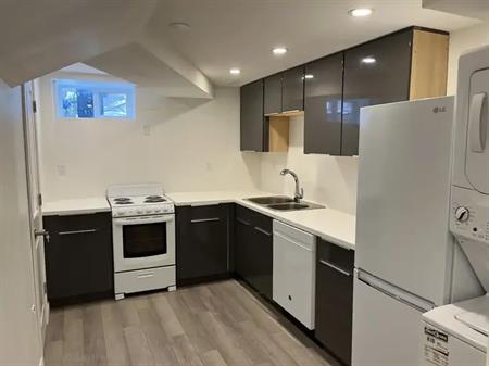 Newly Renovated Furnished Basement Suite | Calgary