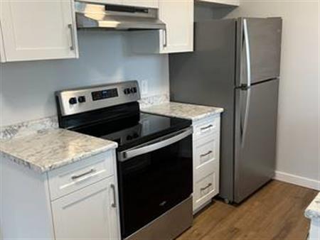 Renovated 1-Bedroom Apartments for Rent at 620 Dobson Rd, Duncan, BC