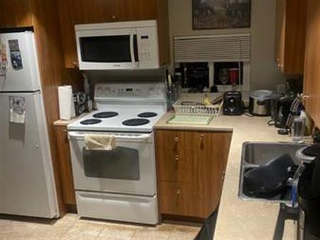 1 Bed + 1 Den Basement Suite ***PET FRIENDLY***