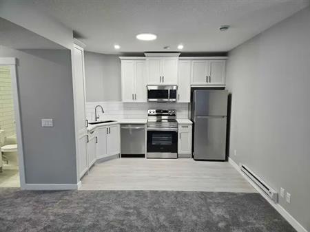 Brand new 2 bedroom basment suite with 9 ft ceilings, Utilities Included | 250 Creekstone Hill Southwest, Calgary