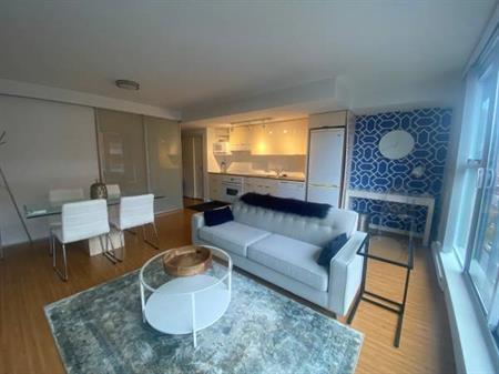 Fully furnished 1 bedroom apartment