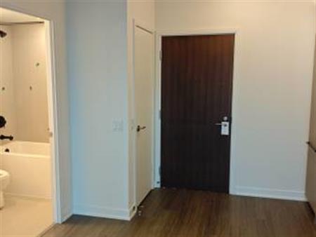 DT 2 bedroom condo with parking at 425 Front St East, available now