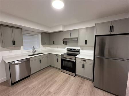 South Surrey brand new basement 2 bed for rent