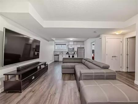 Luxurious Basement: Hidden Oasis | 9355 Cooper Bend Southwest, Edmonton