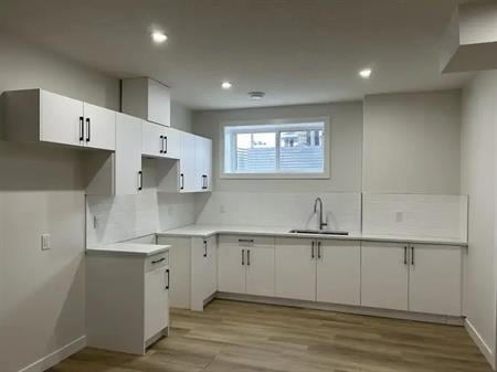 Brand New Build 2 Bedroom Basement Suite | 1506 Siskin Link Northwest, Edmonton