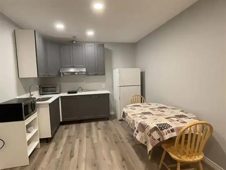 Newer Developed Basement Suite for Rent | Calgary