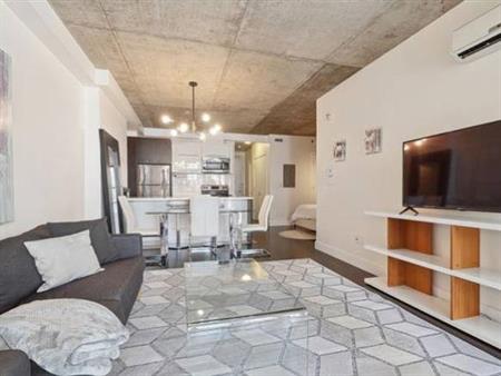 Magnifique 1 1/2 Moderne Meublé | Stunning & Modern Furnished 1 1/2